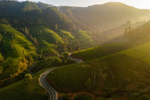 Nuwara Eliya